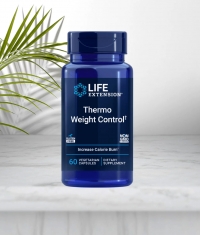  - amino recovery, creatina